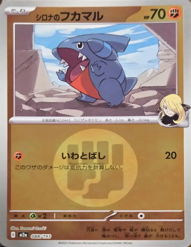 Cynthia's Gible [Energy]