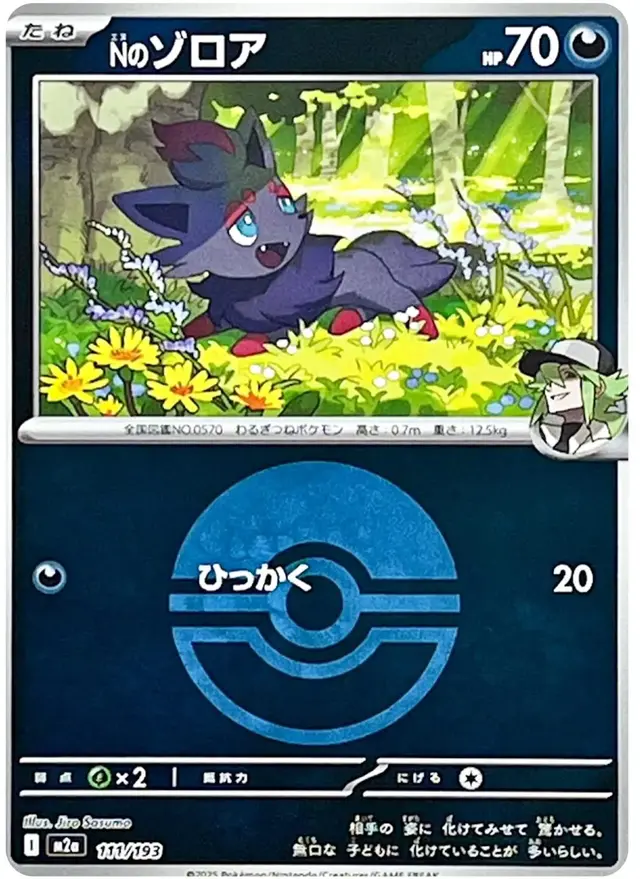 N's Zorua [Ball]
