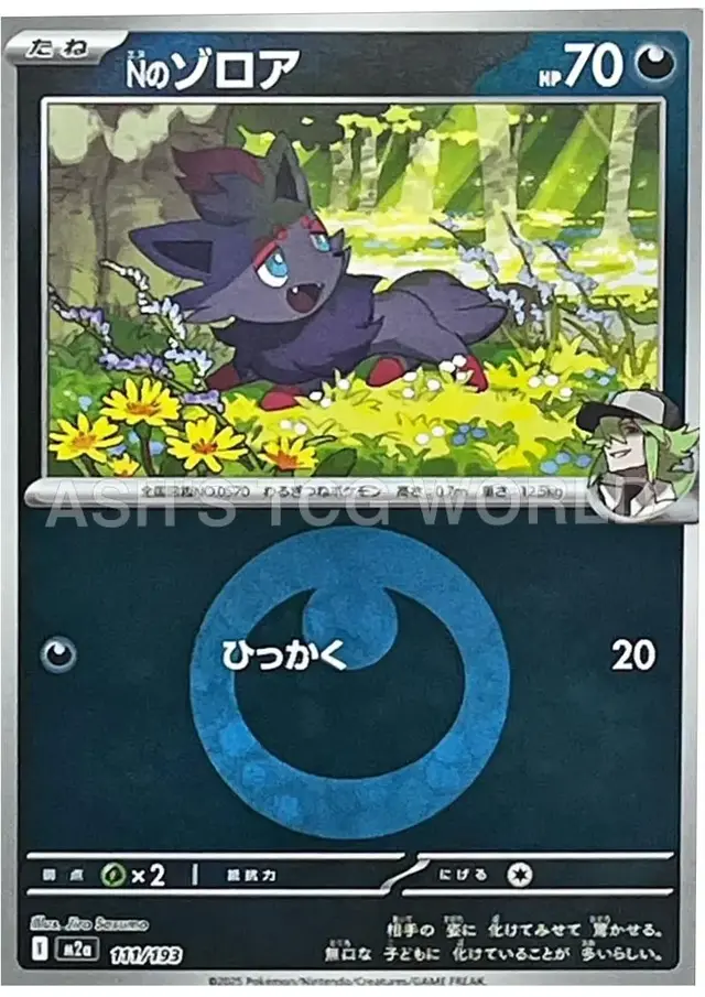 N's Zorua [Energy]