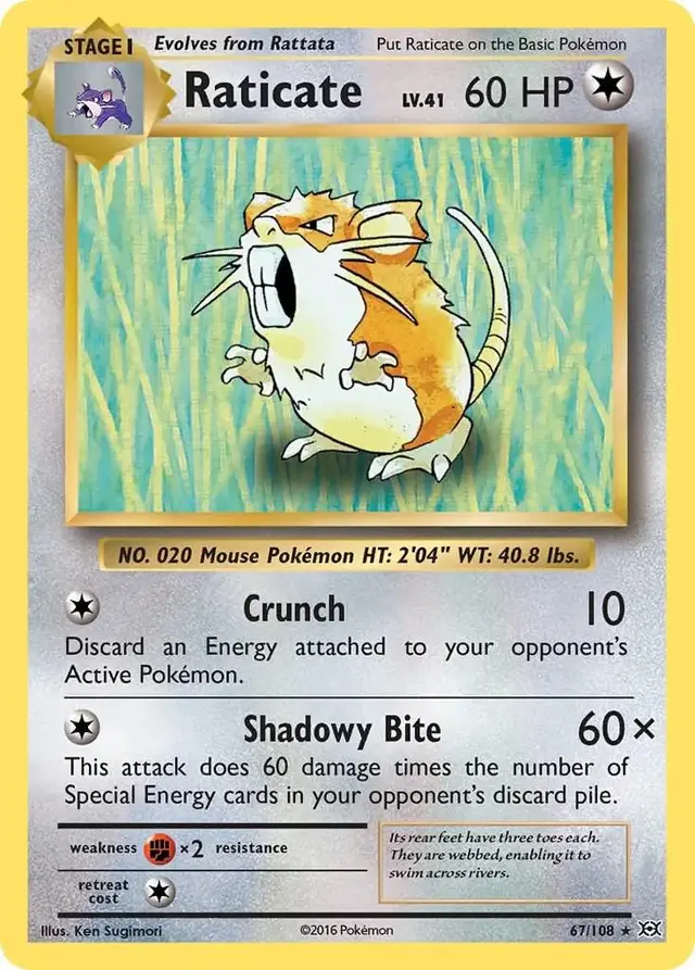 Raticate - Pokemon Evolutions #67