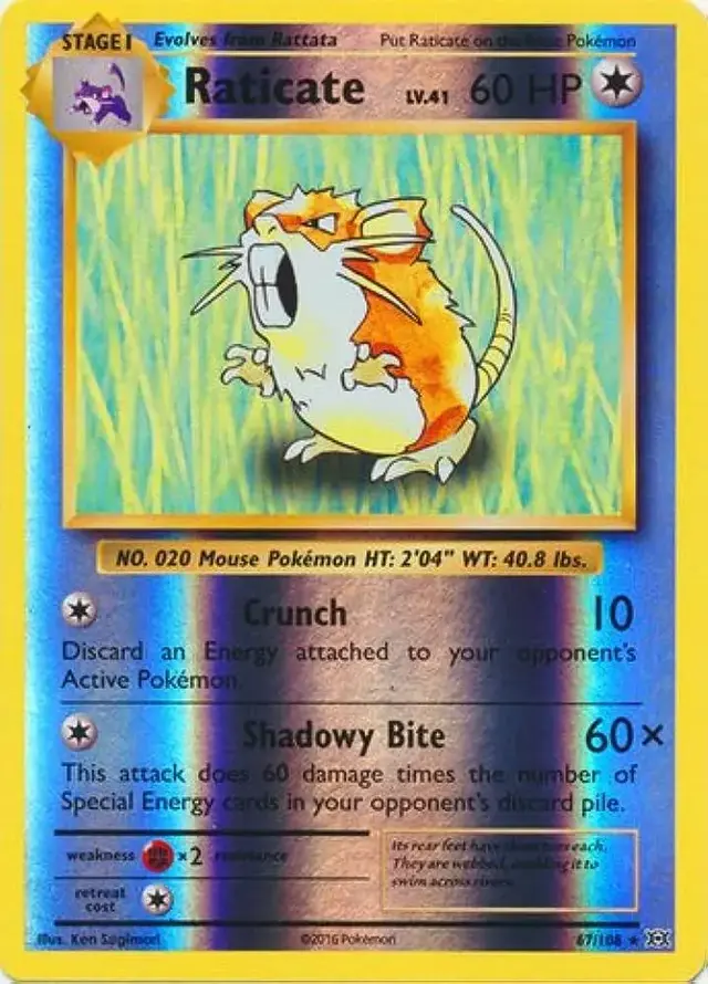 Raticate [Reverse Holo] - Pokemon Evolutions #67