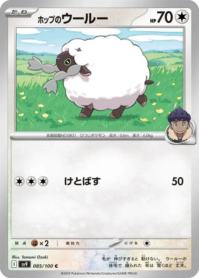 Hop's Wooloo - Pokemon Japanese Battle Partners #85