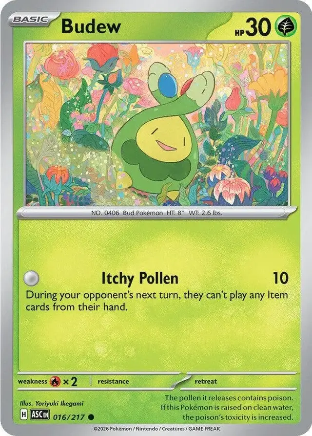 Budew - Pokemon Ascended Heroes #16