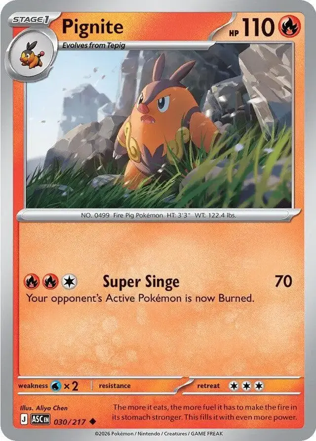 Pignite - Pokemon Ascended Heroes #30