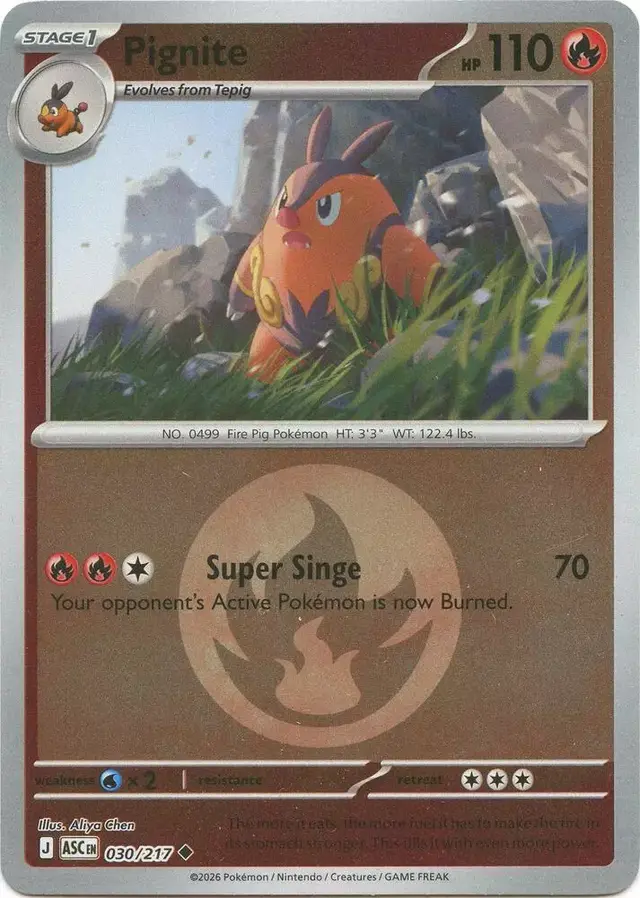 Pignite [Energy Symbol] - Pokemon Ascended Heroes #30