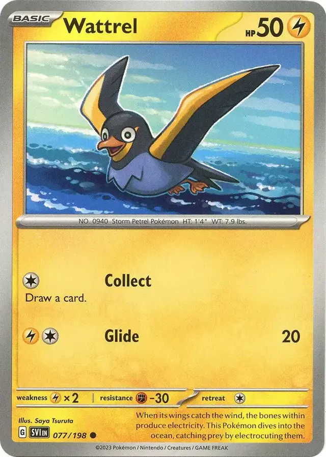 Wattrel - Pokemon Scarlet & Violet #77