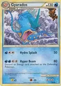 Gyarados - Pokemon Gyarados & Raichu #20