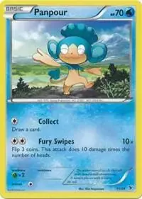 Panpour - Pokemon Kalos Starter #11