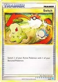 Switch - Pokemon Gyarados & Raichu #28
