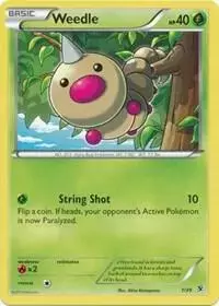 Weedle - Pokemon Kalos Starter #1