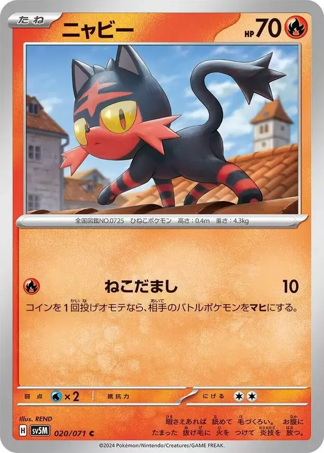 Litten - Pokemon Japanese Cyber Judge #20