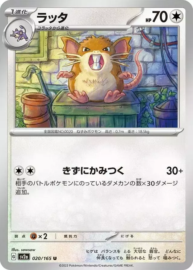 Raticate - Pokemon Japanese Scarlet & Violet 151 #20