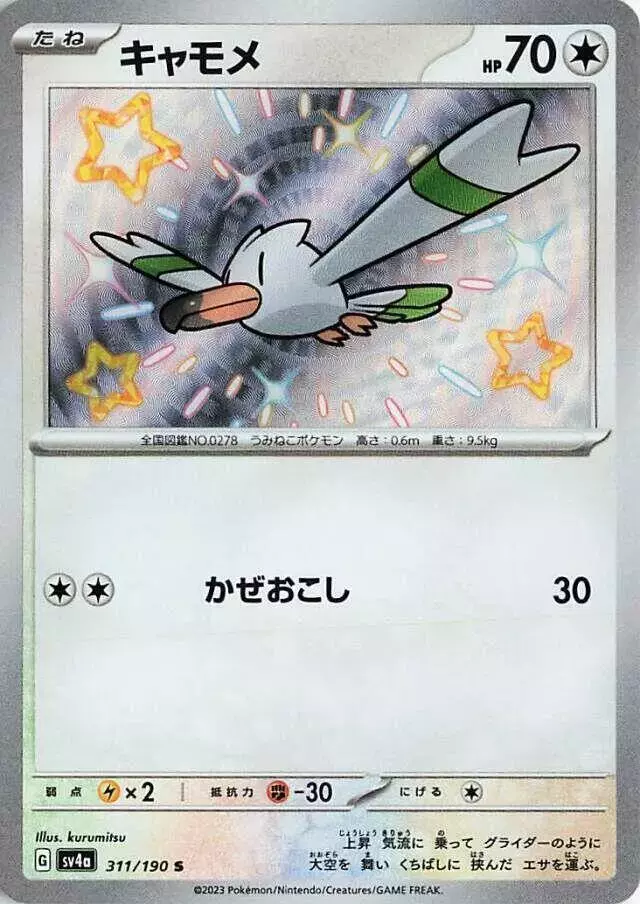 Wingull