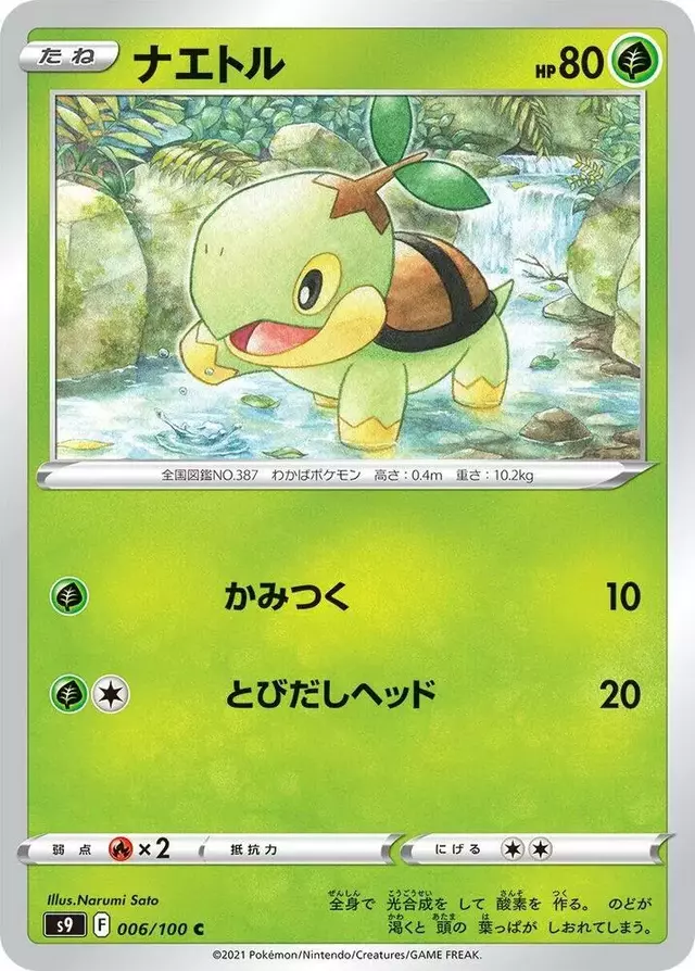 Turtwig - Pokemon Japanese Star Birth #6