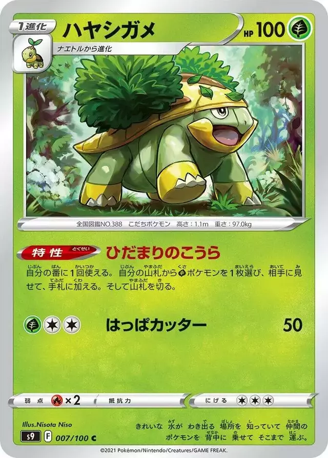 Grotle - Pokemon Japanese Star Birth #7