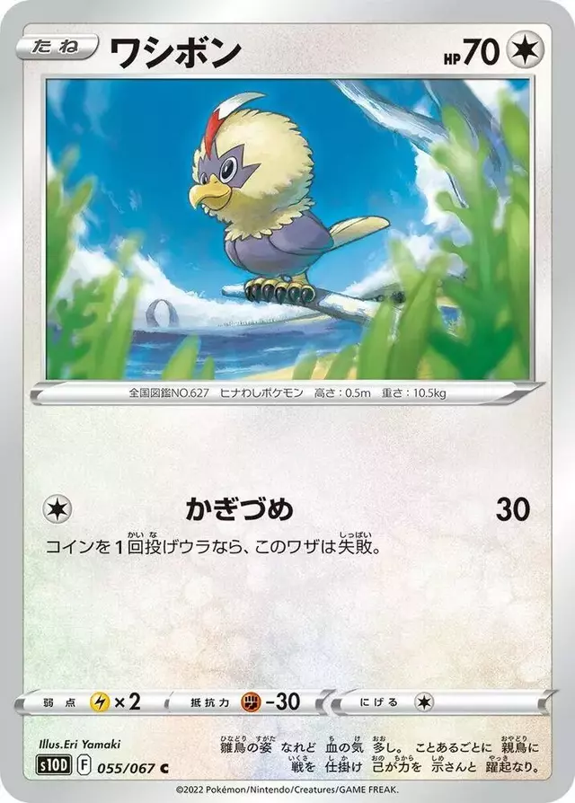 Rufflet - Pokemon Japanese Time Gazer #55