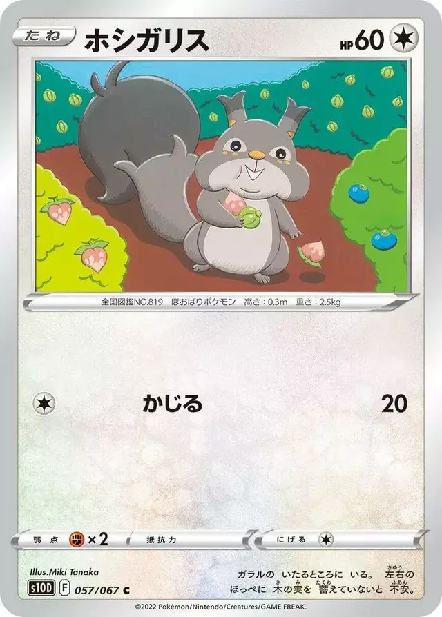 Skwovet - Pokemon Japanese Time Gazer #57