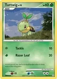 Turtwig