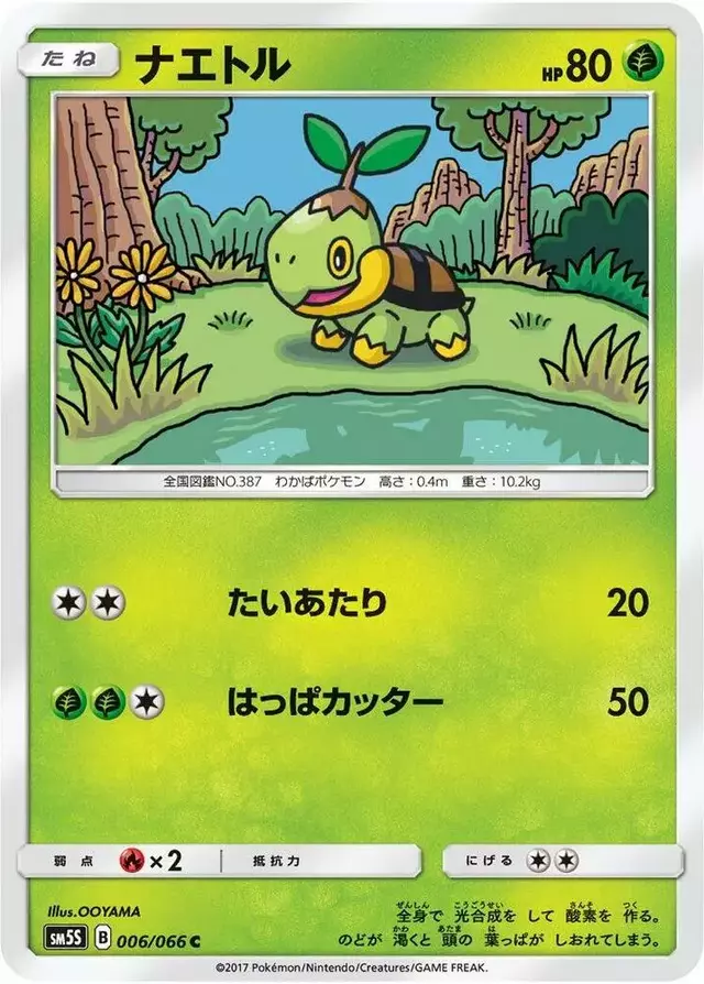 Turtwig - Pokemon Japanese Ultra Sun #6