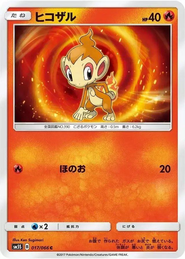 Chimchar - Pokemon Japanese Ultra Sun #17