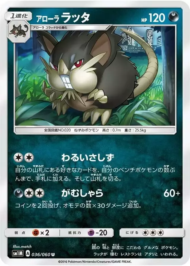 Alolan Raticate - Pokemon Japanese Collection Moon #36