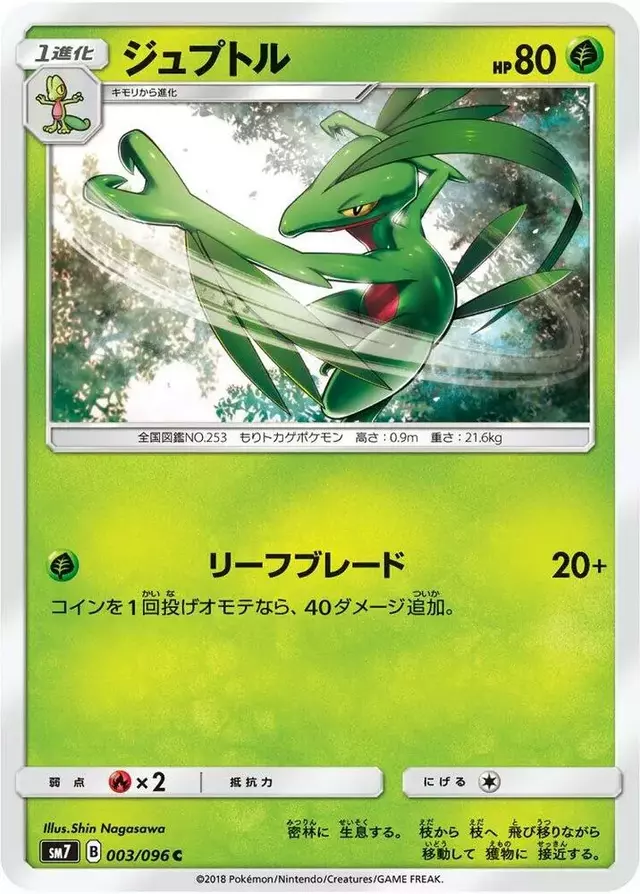 Grovyle - Pokemon Japanese Sky-Splitting Charisma #3