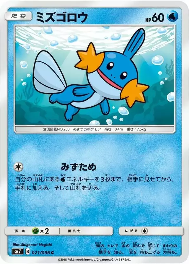 Mudkip - Pokemon Japanese Sky-Splitting Charisma #21