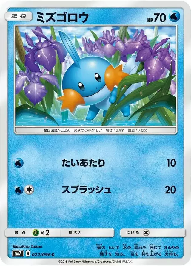 Mudkip - Pokemon Japanese Sky-Splitting Charisma #22