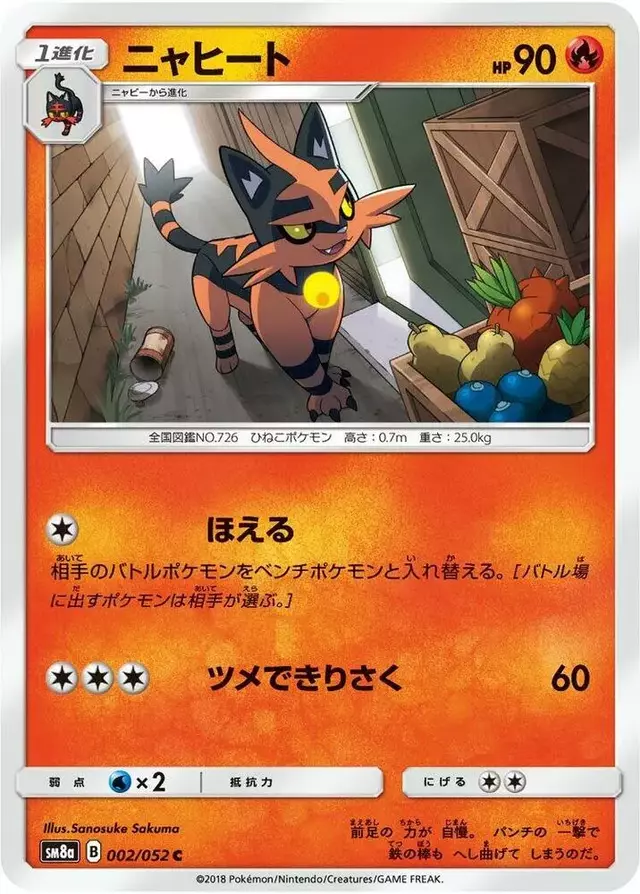 Torracat - Pokemon Japanese Dark Order #2
