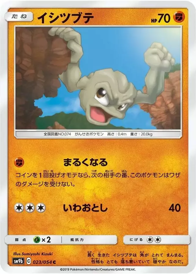 Geodude - Pokemon Japanese Full Metal Wall #23