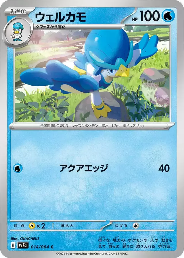 Quaxwell - Pokemon Japanese Paradise Dragona #14