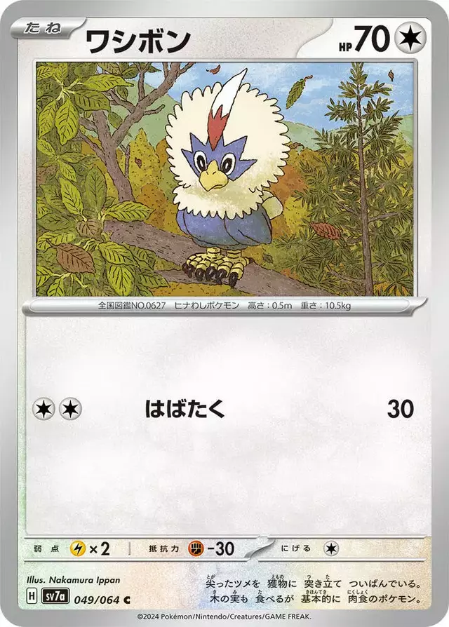 Rufflet - Pokemon Japanese Paradise Dragona #49