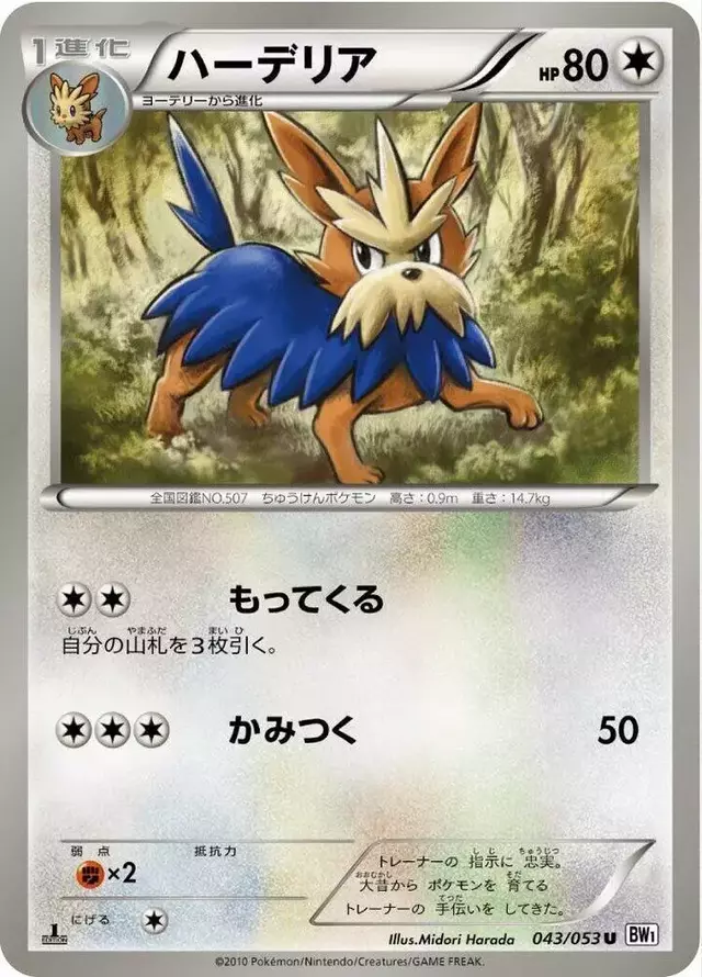 Herdier [1st Edition] - Pokemon Japanese White Collection #43
