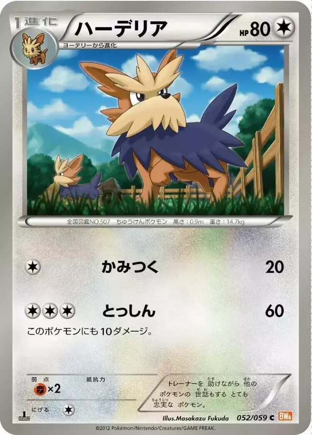 Herdier [1st Edition] - Pokemon Japanese Cold Flare #52