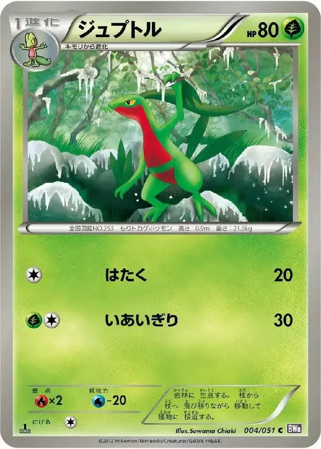 Grovyle - Pokemon Japanese Spiral Force #4