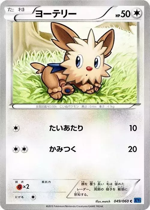 Lillipup [1st Edition] - Pokemon Japanese Collection X #49