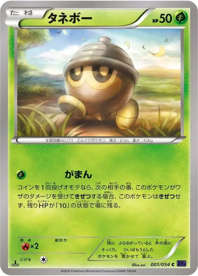 Seedot [1st Edition]
