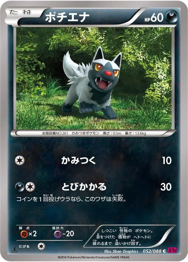 Poochyena [1st Edition] - Pokemon Japanese Phantom Gate #52