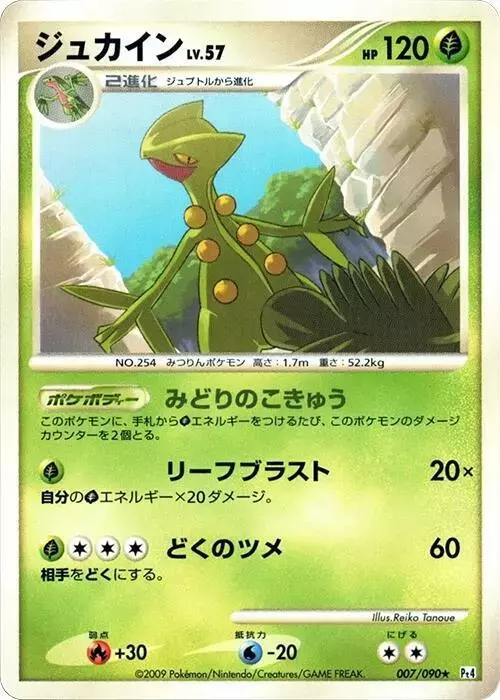 Sceptile [1st Edition]