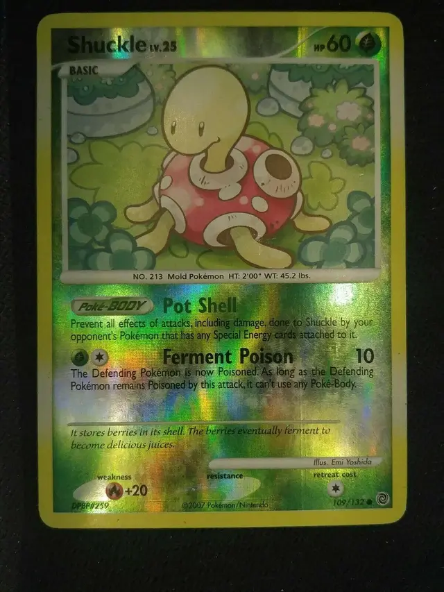 Shuckle [Reverse Holo]