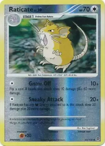 Raticate [Reverse Holo] - Pokemon Secret Wonders #61