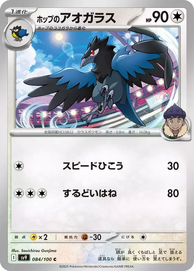 Hop's Corvisquire - Pokemon Japanese Battle Partners #84