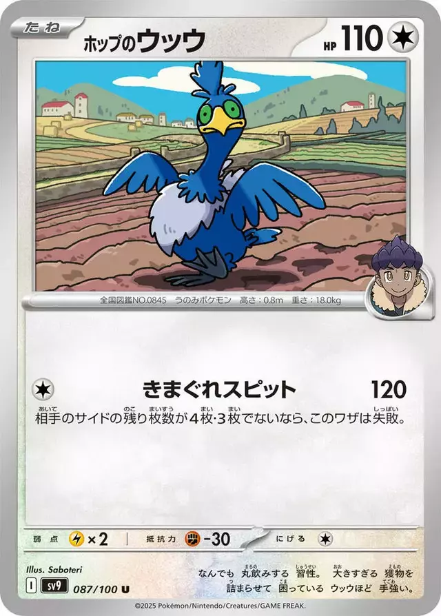 Hop's Cramorant - Pokemon Japanese Battle Partners #87
