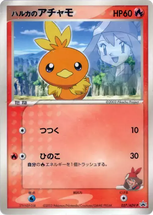 May's Torchic/ADV-P