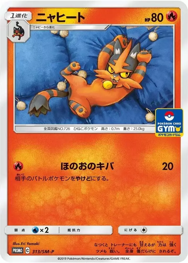 Torracat/SM-P - Pokemon Japanese Sun & Moon Promos #313