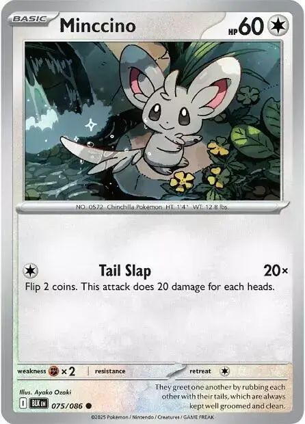 Minccino [Reverse]
