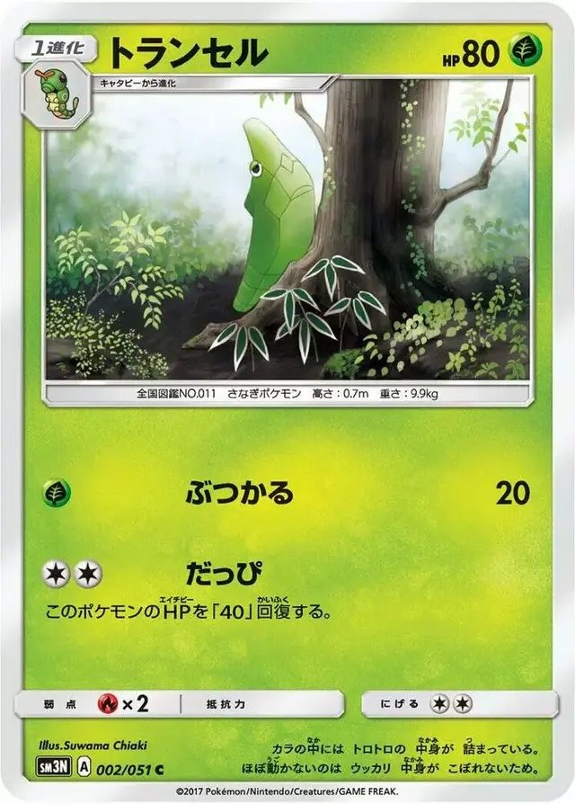 Metapod - Pokemon Japanese Darkness that Consumes Light #2