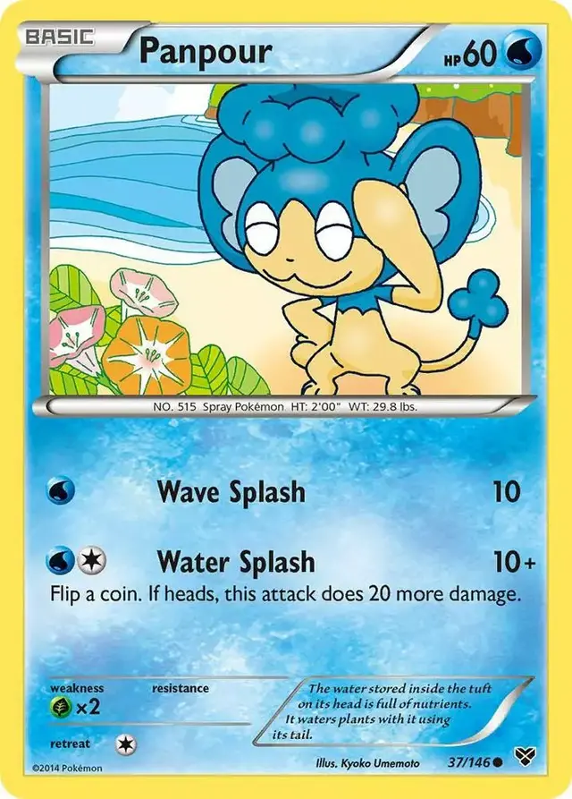Panpour - Pokemon XY #37