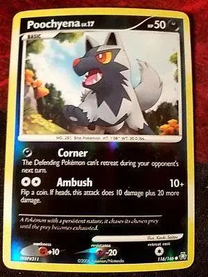 Poochyena [Reverse Holo]