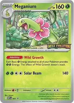 Meganium [Holo] #1 - Pokemon Mega Evolution Promo